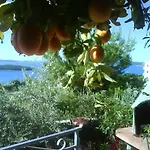 Jasna Trogir
