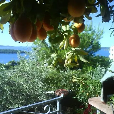 Jasna Trogir