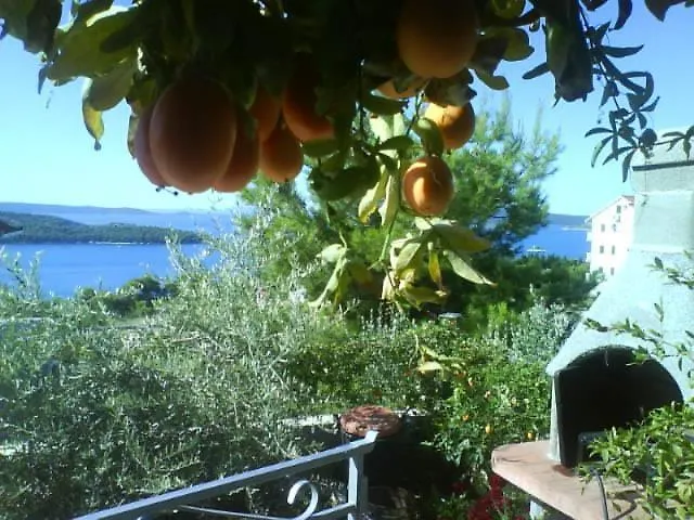 Jasna Trogir